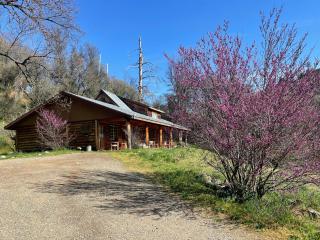 Bear Creek Cabins - Midpines - 1
