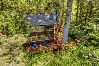 Nehalem Woods - Nehalem - 0