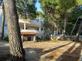Apartments by the sea Ivan Dolac, Hvar - 21269 - Jelsa - 0