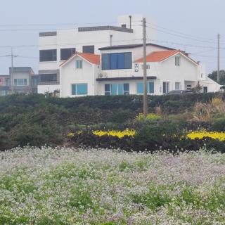 Rabit Island healing house - Jeju - 7
