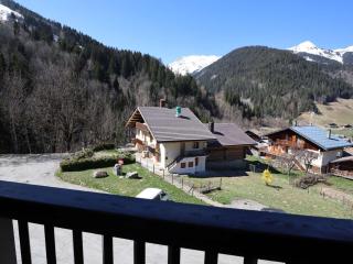 Appartement lumineux 2* 33m² avec balcon, pour 6 personnes à Arêches-Beaufort - FR-1-342-235 - Beaufort - 2