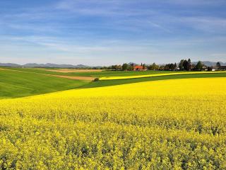 6 person holiday home in SKIVARP-By Traum - 2