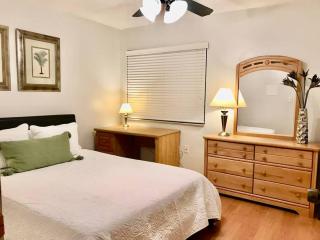 Pool House in Tropical Miami - 1