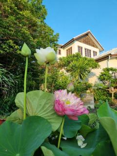 Sawasdee Sichang Resort - Ban Tha Thewawong - 5