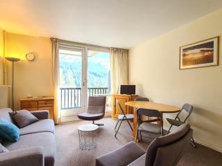 Studio confort avec balcon sud, proche pistes et commerces, équipements pour 4 personnes - FR-1-425-183 - Flaine - 0