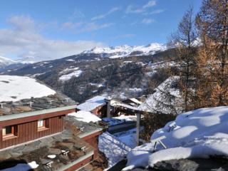 Studio Fonctionnel Skis aux Pieds, Terrasse, Animaux Acceptés - FR-1-181-2358 - La Plagne Tarentaise - 5