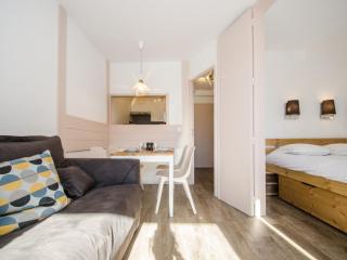 Joli appartement à Chamonix avec balcon, WiFi et animaux acceptés - FR-1-343-157 - Chamonix-Mont-Blanc - 0