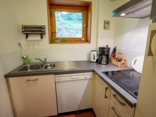 Appartement fonctionnel et lumineux Ski aux pieds Vue montagne Balcon - FR-1-688-26 - 4