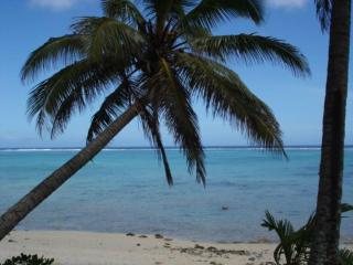 Absolute Beachfront - A Slice of Paradise! - Rarotonga - 0