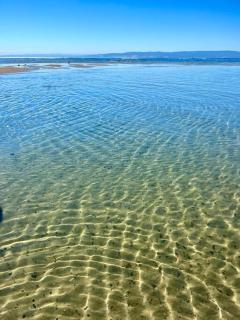 Viola - Seaside Retreat - Coles Bay - 8