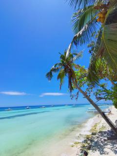 On Board Panglao Beach Hostel & Resort - Dao - 1