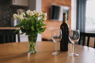 Apartament Słoneczny - Toruń - 4