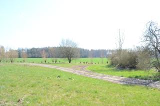 Dvůr Dolenec - Rohoznice - 3