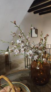 Hostal Blavet - Calaceite - 1