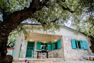 Tsantri Olive Grove residence - Dhrákas - 5