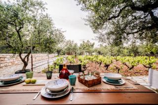 Tsantri Olive Grove residence - Dhrákas - 8
