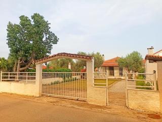Alykesbeachhouse - Drosia - 9