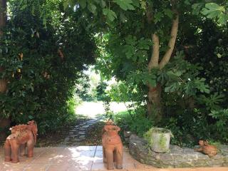 Charme Zen Ecrin de verdure Fraîcheur Spa - 3