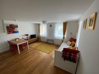 Krakovska apartments - Ljubljana - 5