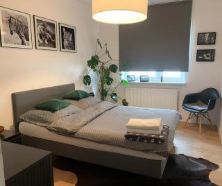 Apartament Luna - Biała Podlaska - 3