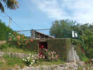 Quinta Da Penela - Vieira do Minho - 6
