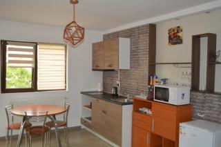 Villa 38 Silviu Apartment - Bucarest - 4