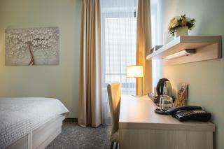 Hotel Mlynska - Uherské Hradiště - 6