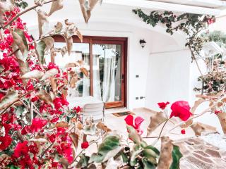 Casa vacanze Il Ciclamino - Olbia - 0