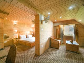 Hotel Mirage - Srinagar - 2