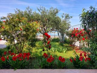 Apartment JeMa - Trogir - 1
