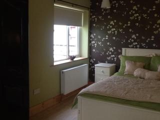 The Thatched Cottage B&B - Claregalway - 9