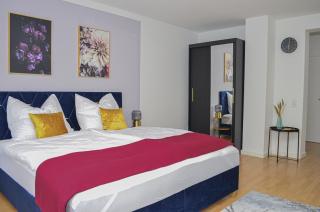M&D Apartments nähe Volkspark mit Balkon - Netflix - Küche - Kaiserslautern - 7