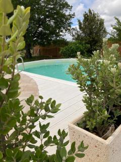 TRULLO ELVIRA & LUIGI - Monopoli - 8