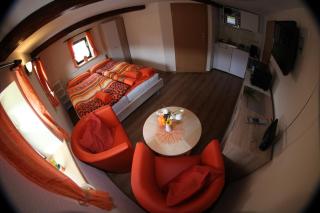 Ferienhaus Montana - Bad Schandau - 4