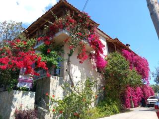 Ifigenia's Rooms - Kardamyli - 4