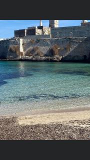 TRULLO ELVIRA & LUIGI - Monopoli - 5