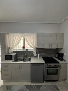 Όμορφο διαμέρισμα (Αργυρούπολη) - 7