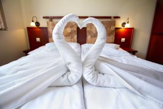 Hotel GOLFER - 7