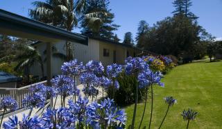 The Crest Apartments - 1