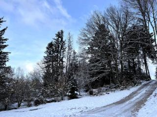 Gîte Chantoiseaux - 6