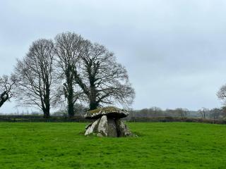 The Wandering Donkey Guest House - Carlow - 2