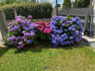 Vendée - Petite Maison de Vacances - 6