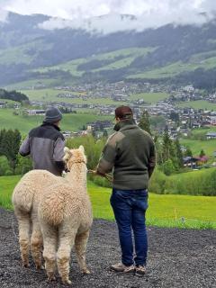 Grillinghof - Kirchberg in Tirol - 1