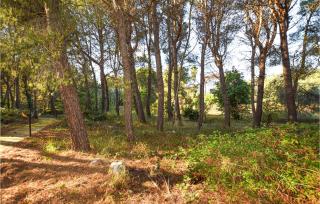 Trullo 1474 - Ceglie Messapica - 4