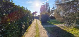 House Spina - Pelegrin - 1