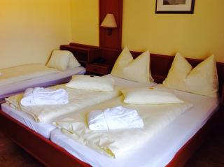 Vitalhotel Marienhof - Velden am Wörther See - 8