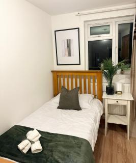 Relaxing Room in Spacious House - Londra - 9