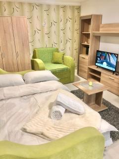 Apartman TADIJA Niš - Donja Vrežina - 8