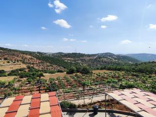 Chalets in the middle of Ajloun forests شاليه و مزرعة في وسط غابات عجلون - 3