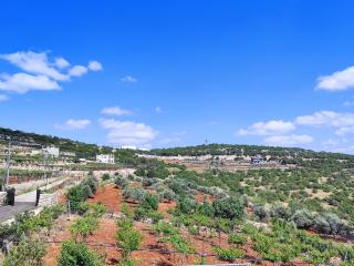 Chalets in the middle of Ajloun forests شاليه و مزرعة في وسط غابات عجلون - 5